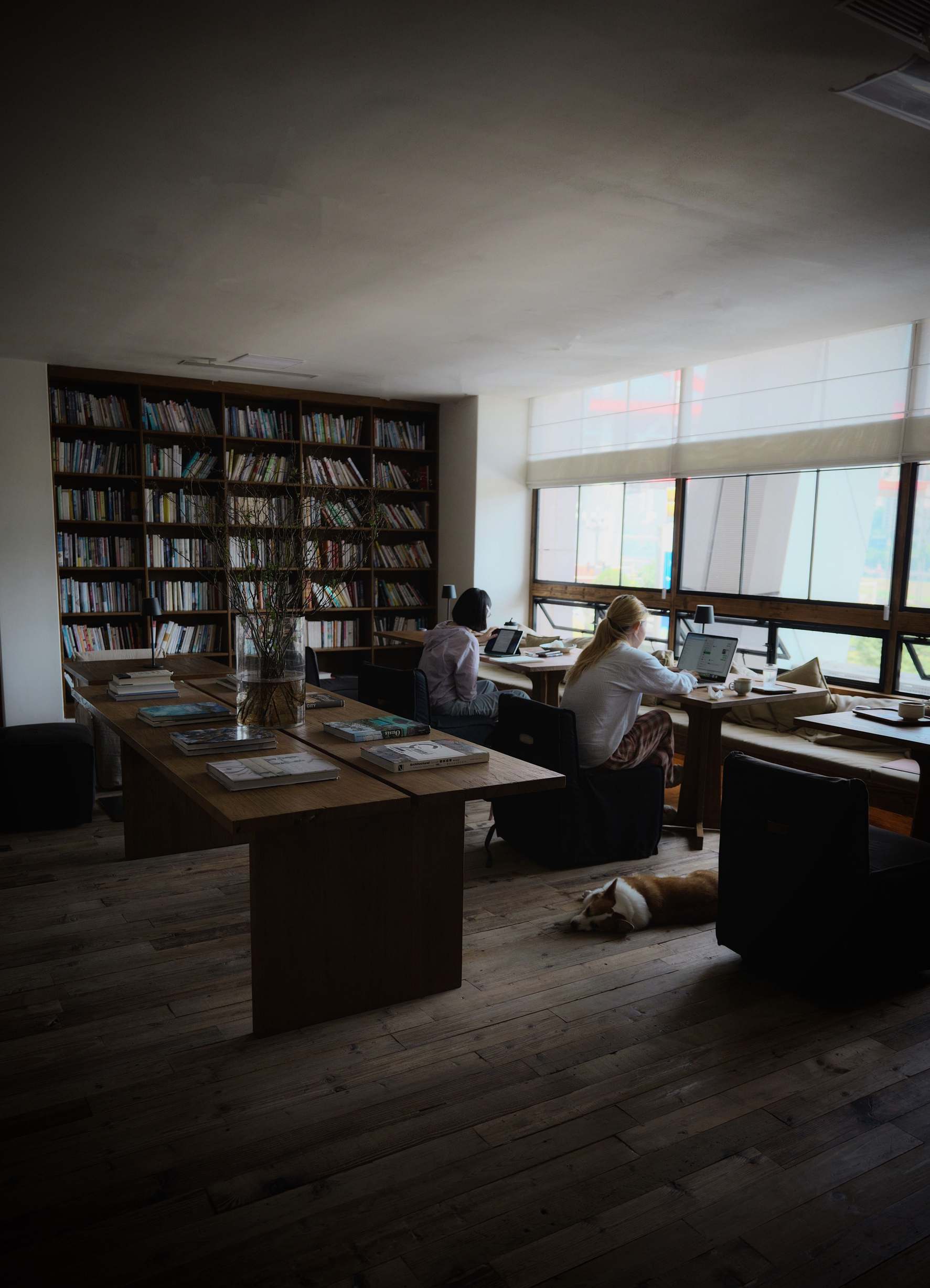 Ruhiges Lernstudio-Interior mit Bücherregalen und einem Schreibtisch